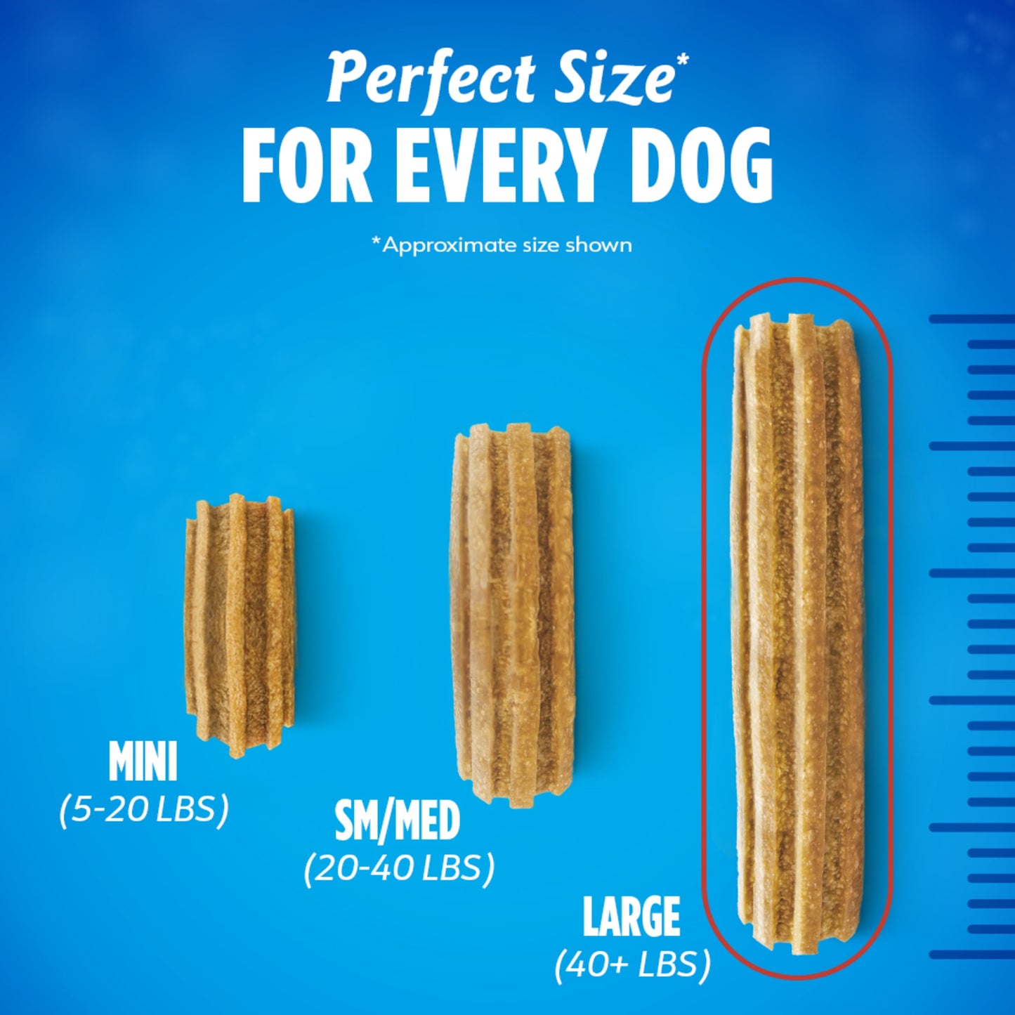 Purina Daily Oral Care Large Dog Dental Treats with Chicken, 20.7 Oz Pouch (18 Count)