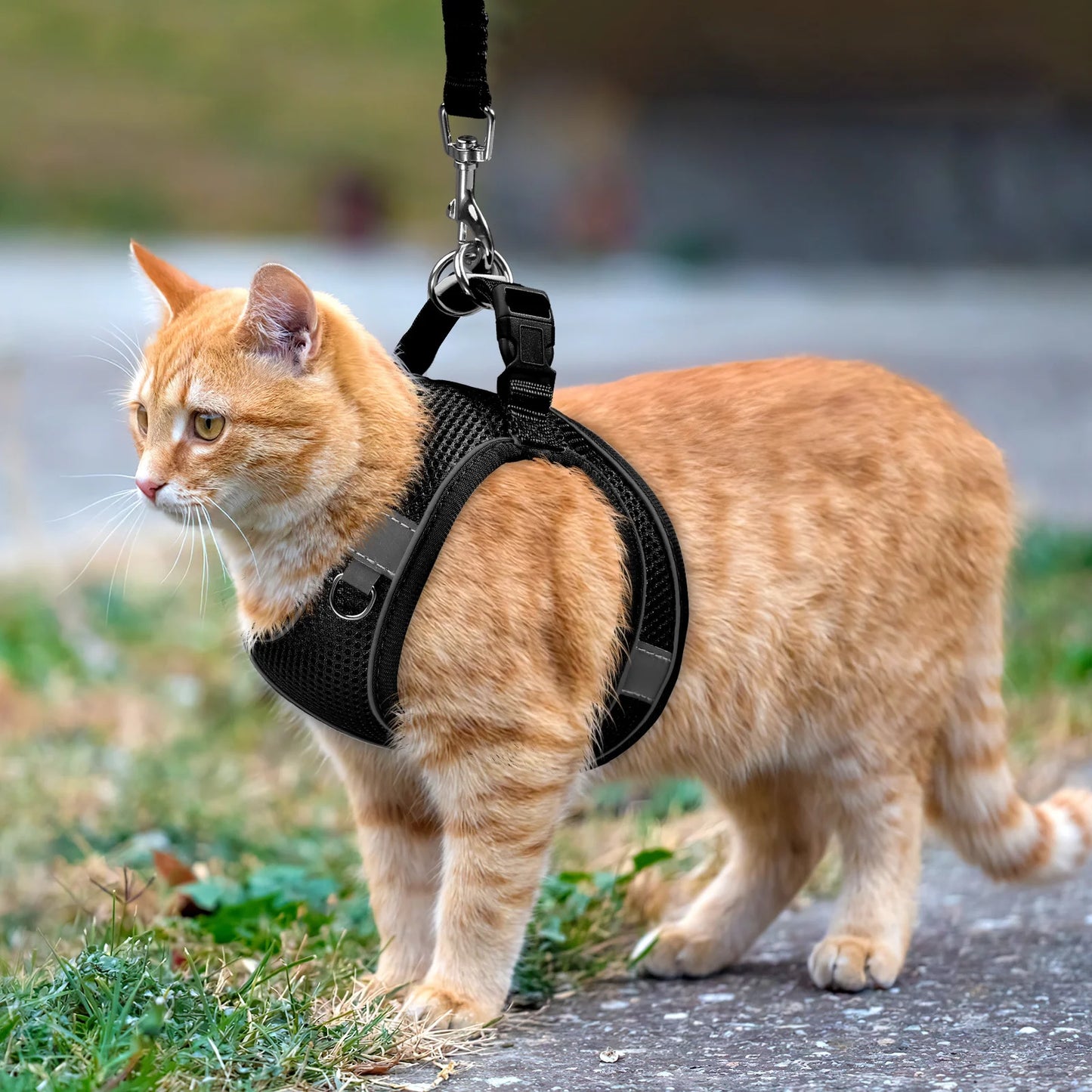 Cat Harness and Leash for Walking, Escape Proof Adjustable Cat Vest Harnesses, Easy Control Breathable Reflective Strips Jacket, Soft Harness for Puppy Small Medium Large Cats, Orange(Xxs)